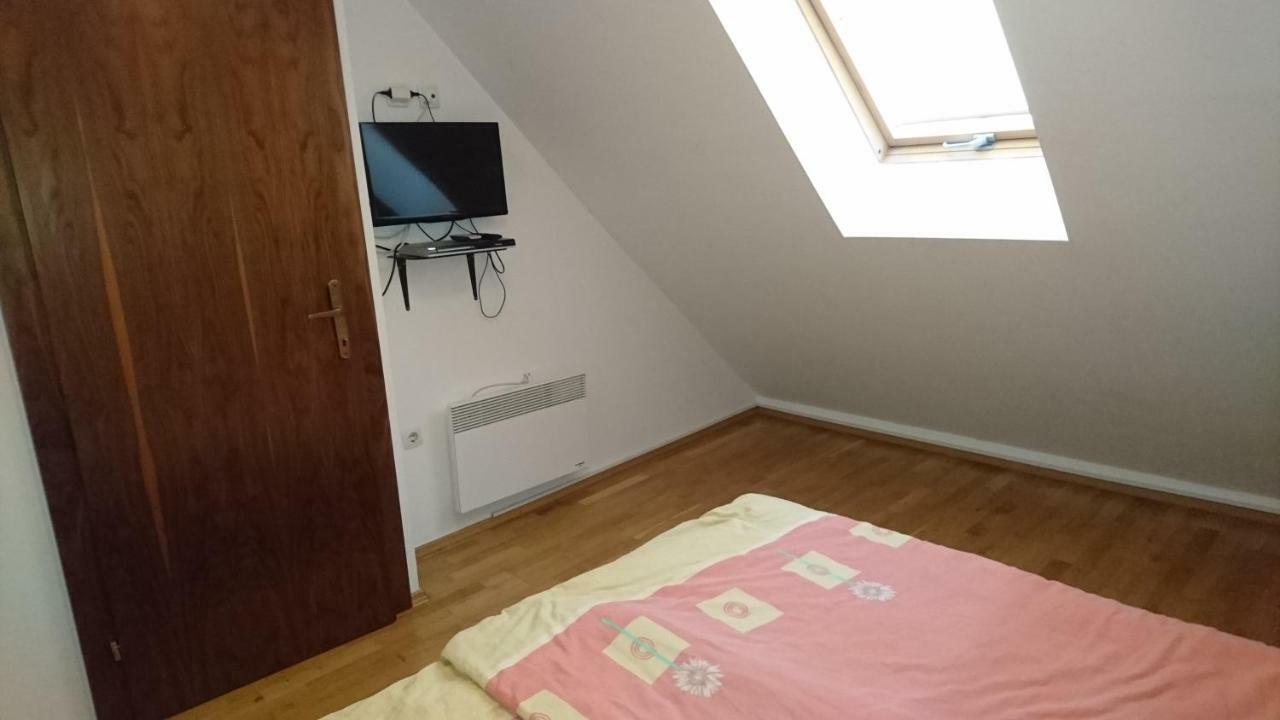 Apartma Geoteh Terme Catez 6032 Villa Krško Kültér fotó