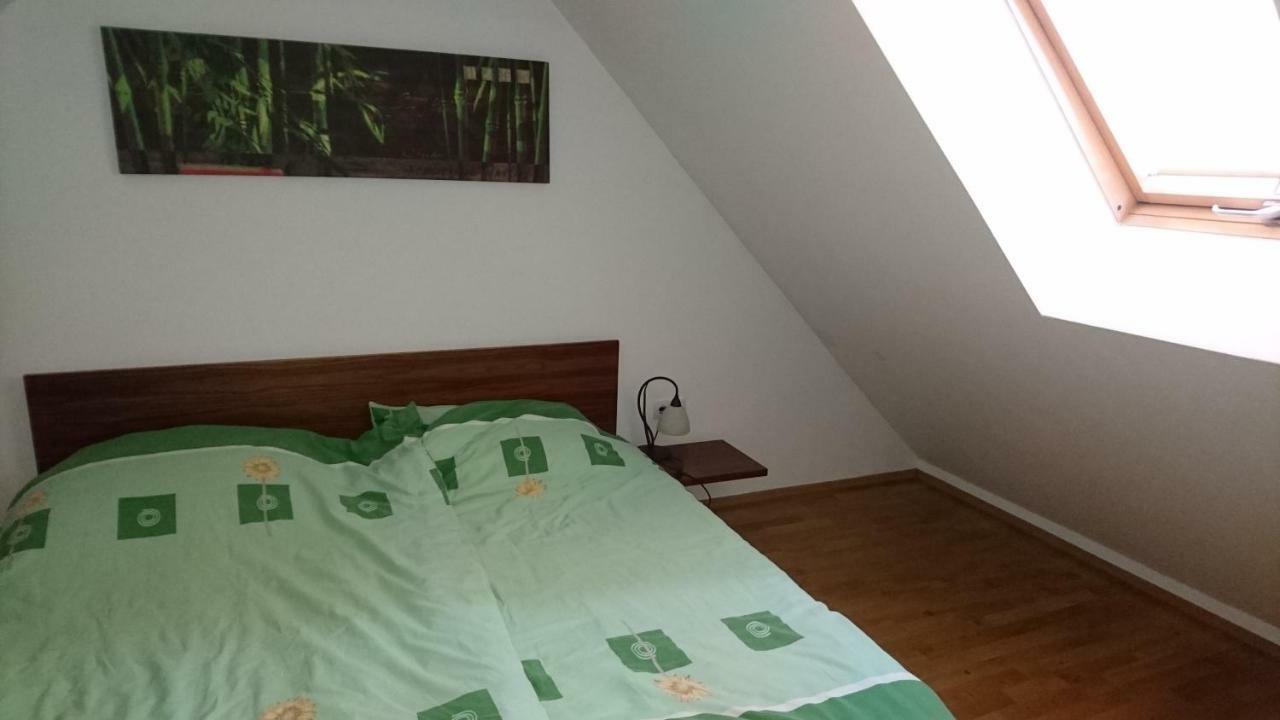 Apartma Geoteh Terme Catez 6032 Villa Krško Kültér fotó